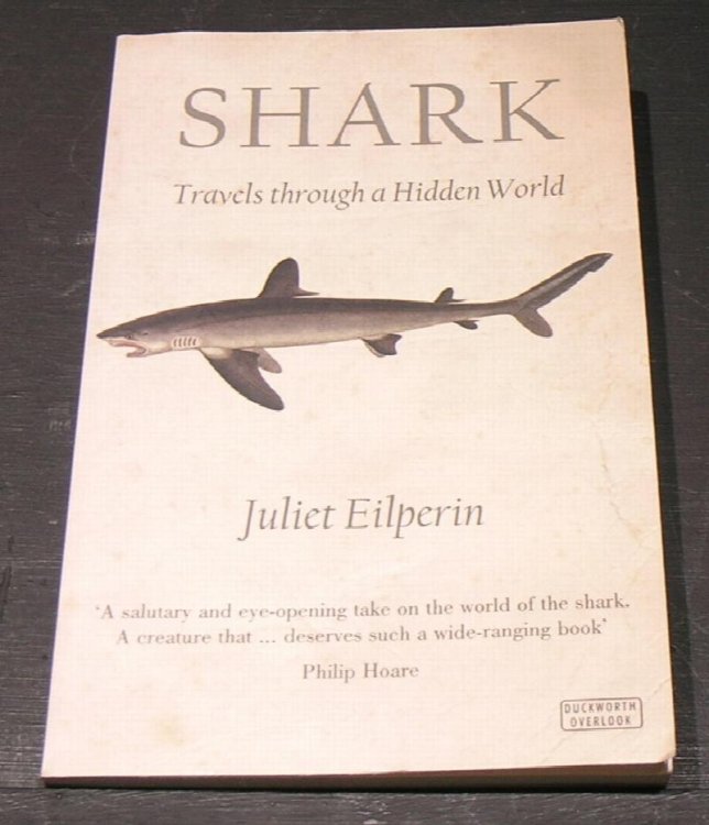 Shark